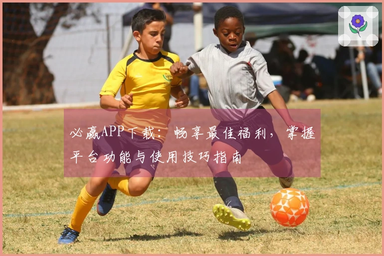 必赢APP下载：畅享最佳福利，掌握平台功能与使用技巧指南