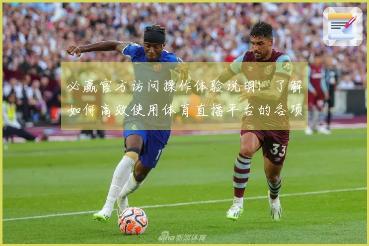 必赢官方访问操作体验说明：了解如何高效使用体育直播平台的各项功能