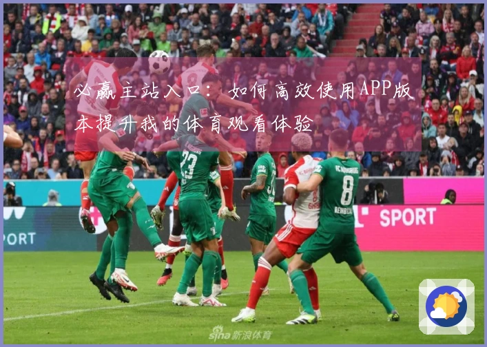 必赢主站入口:如何高效使用APP版本提升我的体育观看体验