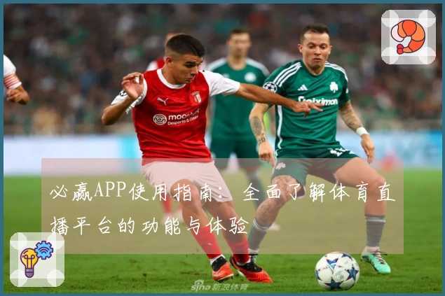 必赢APP使用指南：全面了解体育直播平台的功能与体验